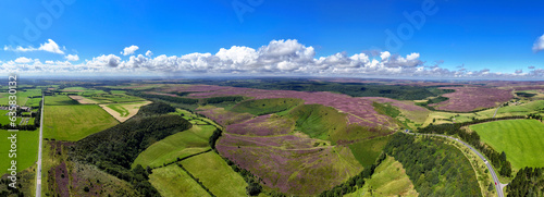 North York Moors Heather Panoramic,The North York Moors is an upland area in north-eastern Yorkshire, England. It contains one of the largest expanses of heather moorland in the United Kingdom. 