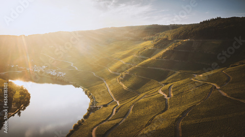 Piesport an der Mosel