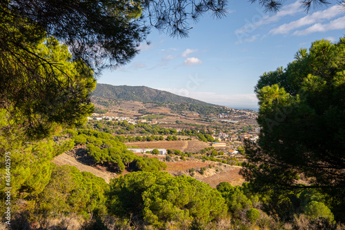 Wine landscape with vineyards during autumn in the Alella denomination of origin area in the province of Barcelona in Catalonia Spain