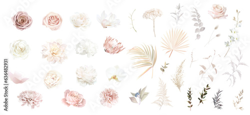 Boho beige and blush trendy vector design flowers. Pampas grass, peony, protea, orchid, dahlia, ranunculus