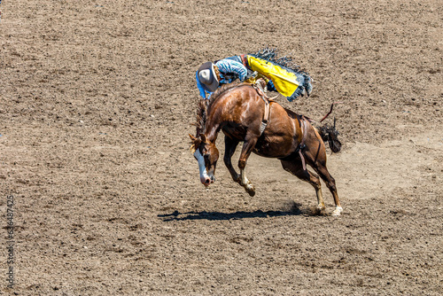 A rodeo cowboy is riding bareback a bucking bronco. He is in an arena with dirt flying from the kicking horse. The cowboy is wearing a black vest and blue shirt.