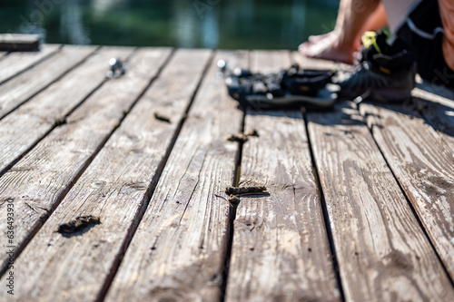 Scattered Goose poop on a wooden boat dock.