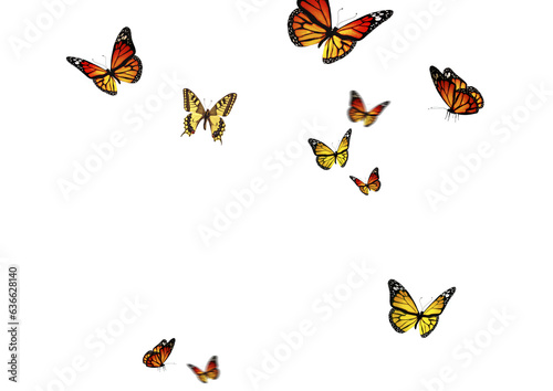 Set of butterflies on transparent background. Butterfly with different colors isolated. Realistic butterflies postcard card frame Collection of multicolored butterflies