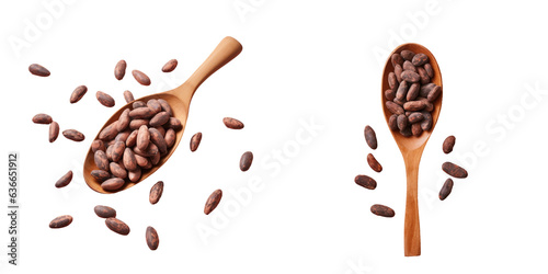 Wooden spoon holding cocoa beans on transparent background