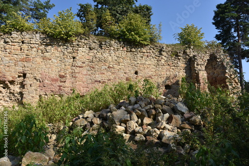 Ruiny, gotycki Zamek Zawiszy Czarnego w Rożnowie, Małopolska, Polska, 