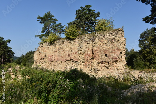 Ruiny, gotycki Zamek Zawiszy Czarnego w Rożnowie, Małopolska, Polska, 