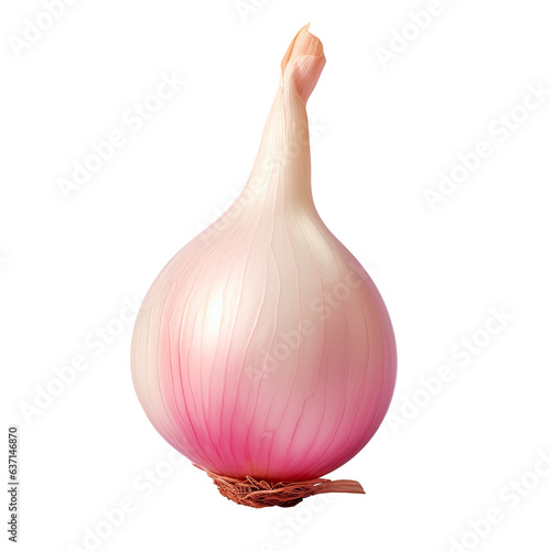 Fresh shallot photographed on a transparent background