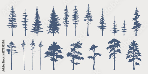 Set of hand drawn vector silhouettes of pine trees. Forest. Vintage trees. Monochrome. Isolared vector trees.