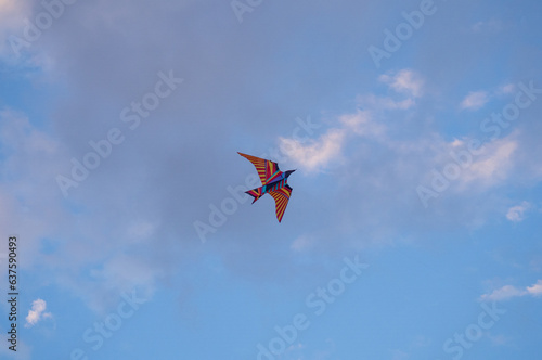  Kite Festival. Kites in the sky. A spectacle . Wind is like a force. air objects. Various forms. A beautiful sight. Aerodynamics. Object in the sky