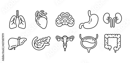 Human internal organs icon set, line art style illustration
