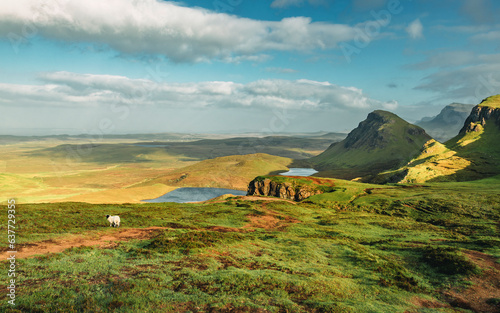 A panoramic view of the Quiraing from the hiking trail to the mountain peak with a sheep walking on the grass