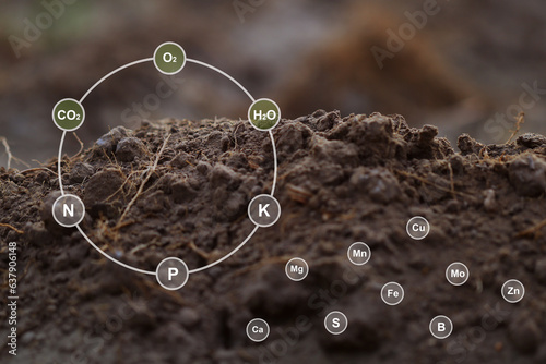 Close up fertile loamy soil for planting on spoon with 16 digital nutrients icon which necessary in plant life, Plant Nutrients, Macronutrients, Micronutrients. Agriculture concept.