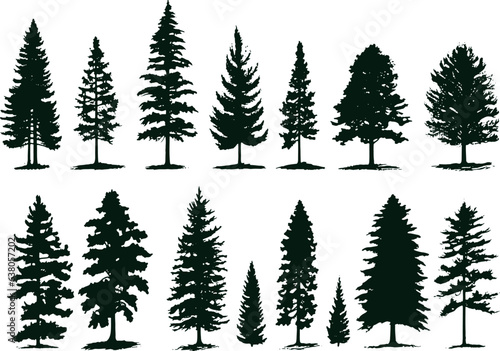 Collection of Isolated Vintage Pine Trees Botanical Forest Woodland Vector Illustration Set