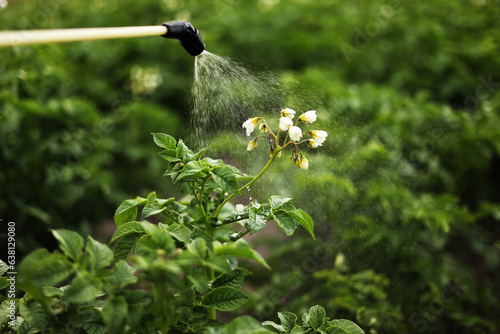 Spraying blooming potatoes plantation with pesticides by the professional sprayer. Agriculture fertilizer spraying insecticide. Agriculture and agribusiness. Harvest processing. Protection and care.