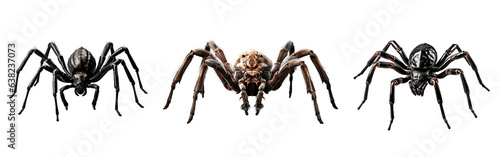 Three horror spiders over isolated transparent background