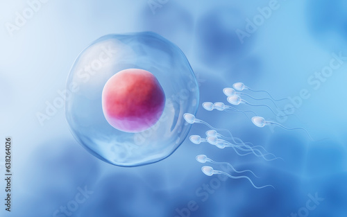The union of sperm and an egg cell, 3d rendering.