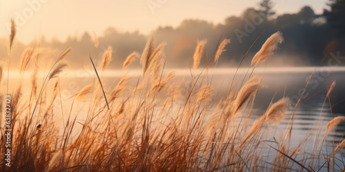 Diffused light of a misty autumn afternoon, this image showcases a serene lake surrounded by tall grasses, their golden heads swaying gently in the breeze.