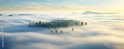Aerial view of fog rising above island trees. Misty landscape with forest.