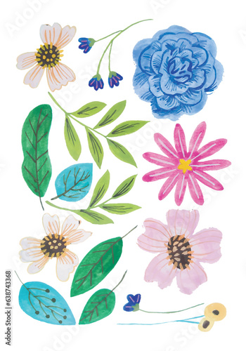 watercolor flower elements clipart isolated background