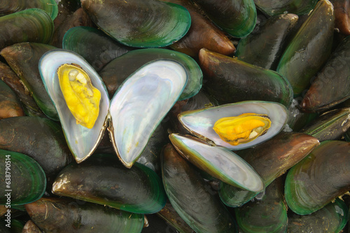 Fresh green mussels background, Perna Viridis, few mussels open. 
