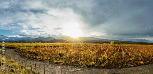 Otoño en Mendoza , caminos del vino , Tupungato , con los últimos rayos de sol de la tarde , pintando de colores dorados , y tonos naranjas , las hojas de vid , al pie de Los Andes 30/04/18