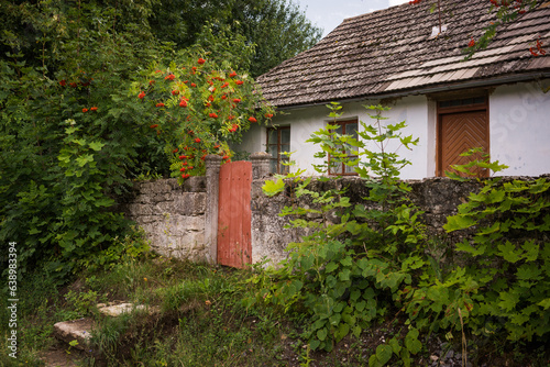 Landscape with small house, dramatic sky and red viburnum
