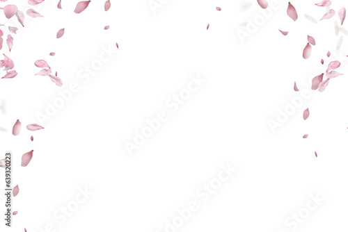 Flying pink cherry petals. Floral overlay with flying pink petals at transparent background. Spring Sakura. Cherry blossom