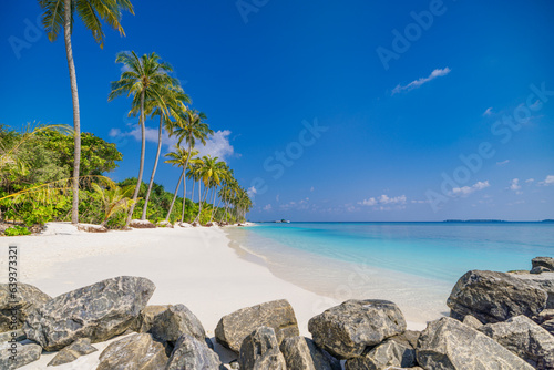 Beautiful tropical beach at exotic island with coconut palm trees and rocks breakwater. Tranquil relaxation landscape blue sky sea closeup sand. Idyllic inspire vacation background. Paradise wallpaper