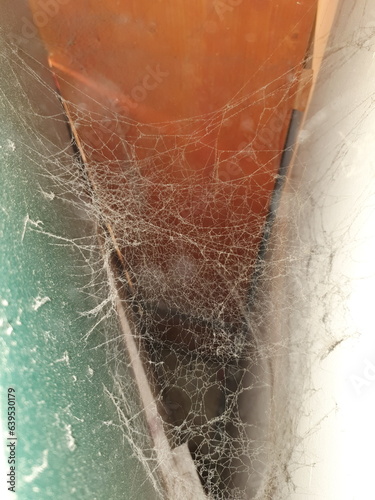 Spinnennetze in Zwischenraum