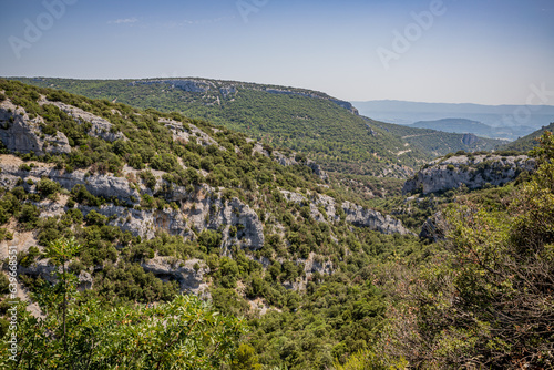 La garrigue en provence