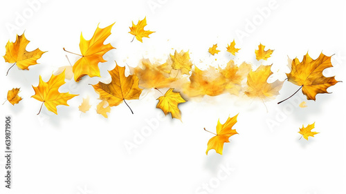 flying autumn leaves on a white background.