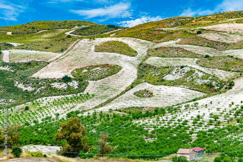 Vineyards region of Butera, Caltanissetta, Sicily, Italy.