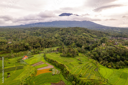 Aerial sunrise view of green rice fields and Mount Agung in Bali, Indonesia 