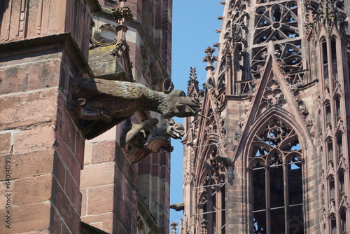 Wasserspeier am Freiburger Münster