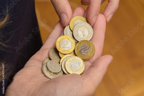 Płacić polskimi pieniędzmi w sklepie, polskie monety pln