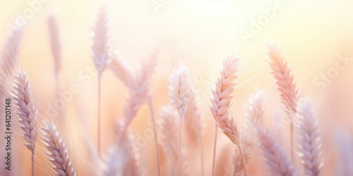 August summer haze in herbs and wheat field in bokeh style, pastel colors