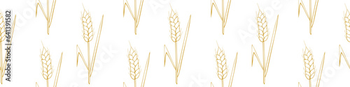 Wheat spikelets, vector seamless pattern. Outline drawn in sketch style isolated. Design of print, wrapping paper, packaging on theme of bakery products, flour, harvest, thanksgiving.