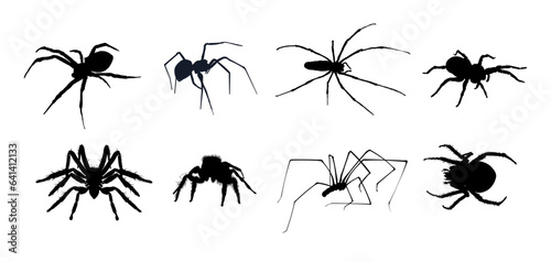 set of spider silhouettes - vector illustration