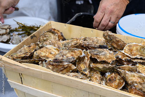 Fresh french Gillardeau oysters molluscs in wooden box ready to eat close up