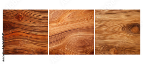 closeup elm wood texture grain illustration natural background, close up, natural timber closeup elm wood texture grain