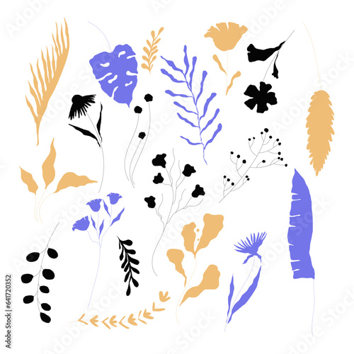 Colorful Plant Branches Silhouettes with Stem and Leaves Vector Set