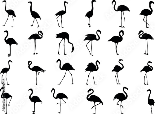 Tropical flamingo vector illustration. Perfect for summer designs, beach themes, and exotic wildlife projects. Add a touch of the tropics to your work with this stunning flamingo artwork