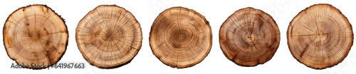 Set of Wooden stump slice. Round cut down tree with annual rings as a wood texture. Isolated on transparent background