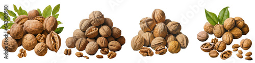 Walnuts with their outer covering identified as Juglans Regia transparent background