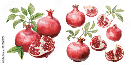 watercolor pomegranate clipart for graphic resources