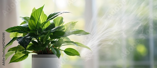 Air purifier and humidifier provides cold steam to hydrate green houseplants contributing to a healthy lifestyle by ensuring care and moisture in dry air as well as fresh air cleanliness and du