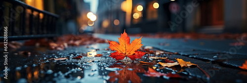 Autumn yellow leaves fall on wet rainy pavement in evening city blurred light