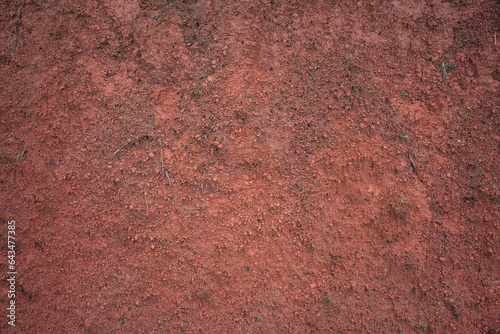 Tierra roja de Chiapas.