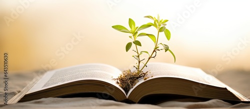 Mustard plant growing on Bible symbolizes Christian faith and spiritual growth