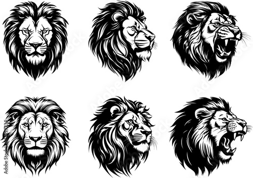 Wild roaring lion king head tattoo set. Front and side view predator face, lions heads black and white ink sketch silhouettes